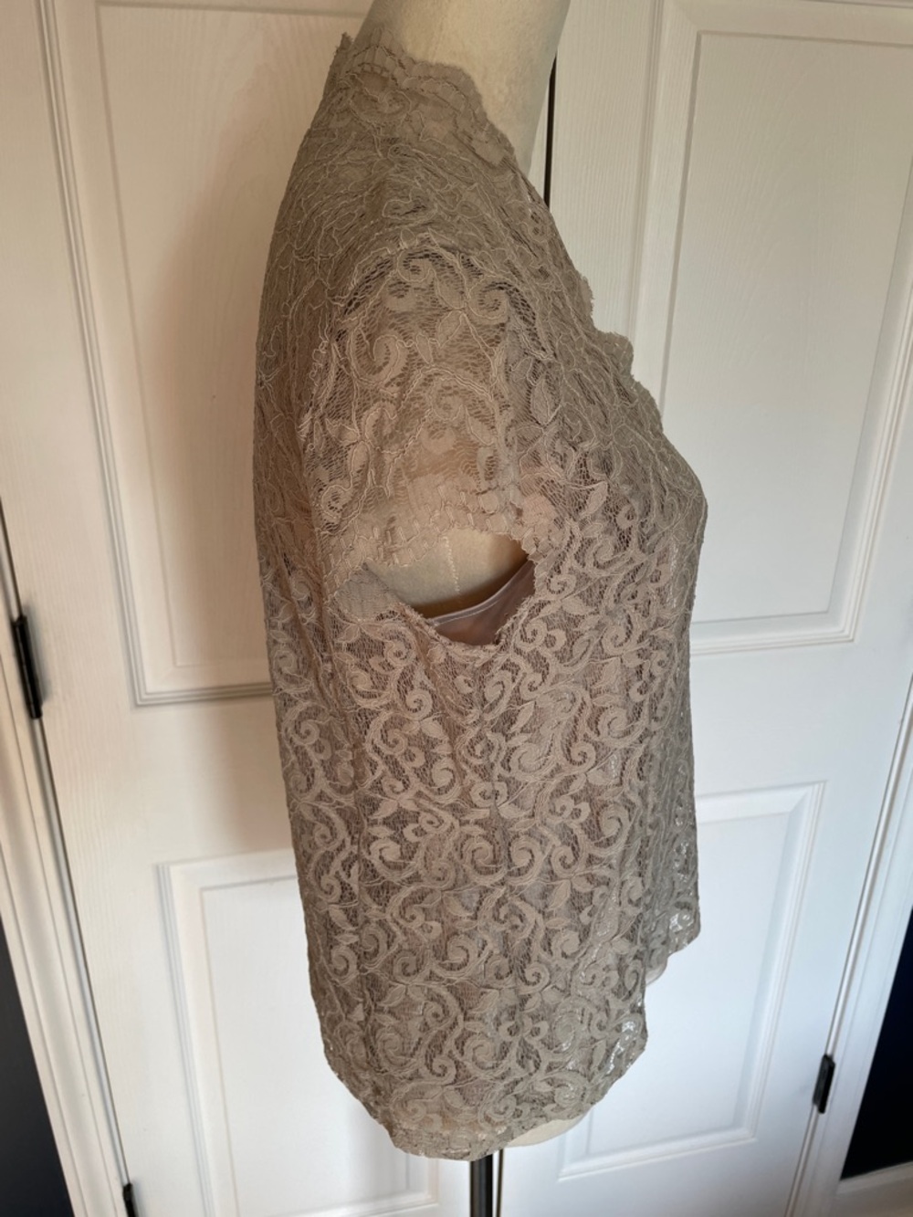 NWT Liz Claiborne Taupe Lace Short Sleeve V-Neck Blouse Size 10 Petite - Picture 3 of 8